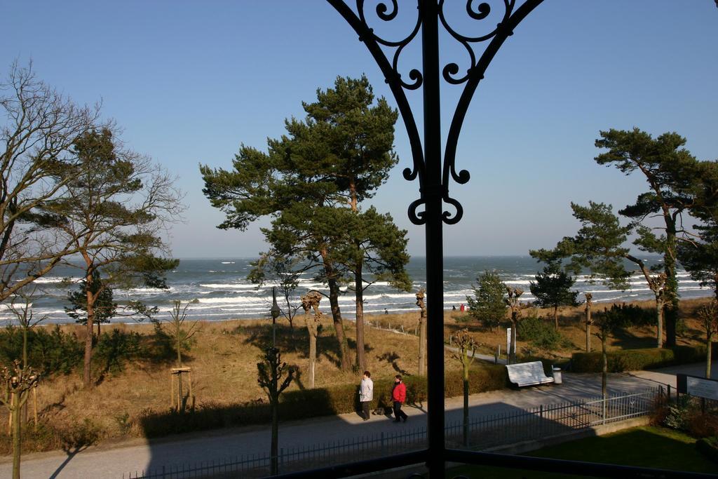 Haiderose Apartment *